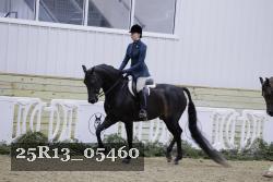 25R13_05460 thumbnail