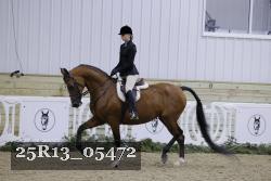 25R13_05472 thumbnail