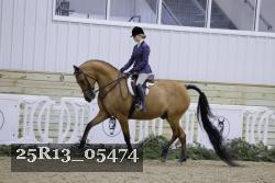 25R13_05474 thumbnail