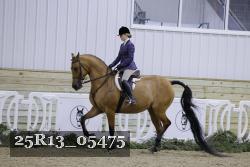 25R13_05475 thumbnail