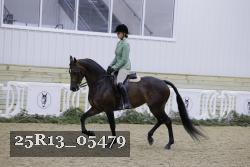 25R13_05479 thumbnail