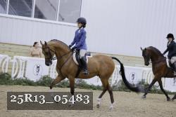 25R13_05483 thumbnail