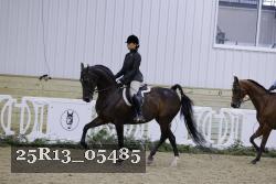25R13_05485 thumbnail