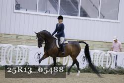 25R13_05488 thumbnail