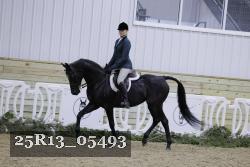 25R13_05493 thumbnail