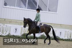 25R13_05496 thumbnail