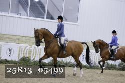 25R13_05499 thumbnail