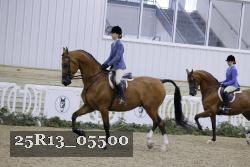 25R13_05500 thumbnail