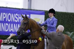 25R13_05510 thumbnail