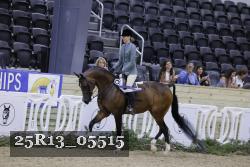 25R13_05515 thumbnail