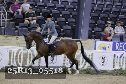 25R13_05518 thumbnail