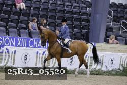25R13_05520 thumbnail