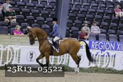 25R13_05522 thumbnail