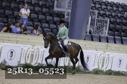 25R13_05523 thumbnail