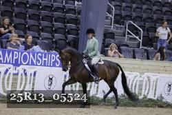 25R13_05524 thumbnail