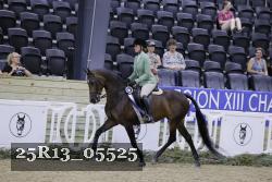 25R13_05525 thumbnail