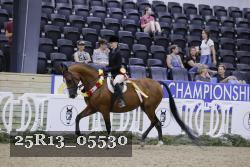 25R13_05530 thumbnail