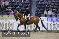25R13_05531 thumbnail
