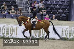 25R13_05532 thumbnail