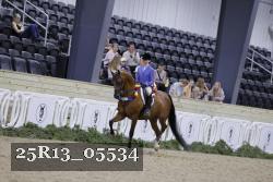 25R13_05534 thumbnail