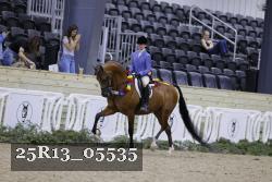 25R13_05535 thumbnail
