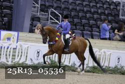 25R13_05536 thumbnail