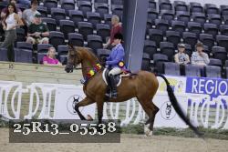 25R13_05538 thumbnail