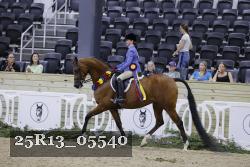 25R13_05540 thumbnail