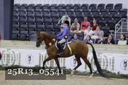 25R13_05541 thumbnail