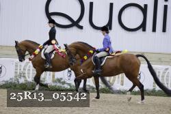 25R13_05542 thumbnail
