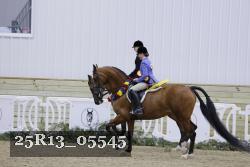 25R13_05545 thumbnail