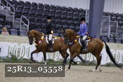 25R13_05558 thumbnail