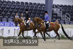 25R13_05559 thumbnail