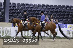 25R13_05560 thumbnail