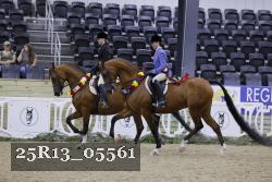 25R13_05561 thumbnail
