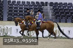 25R13_05562 thumbnail