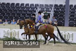 25R13_05563 thumbnail