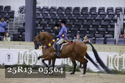 25R13_05564 thumbnail