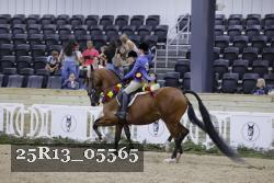 25R13_05565 thumbnail