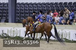 25R13_05566 thumbnail