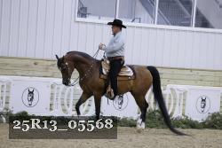 25R13_05568 thumbnail