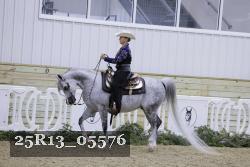 25R13_05576 thumbnail