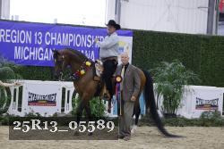 25R13_05589 thumbnail