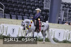 25R13_05607 thumbnail
