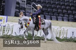25R13_05608 thumbnail