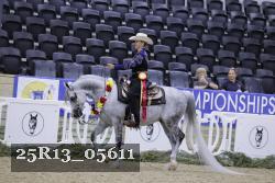 25R13_05611 thumbnail