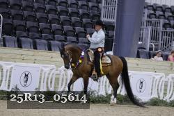 25R13_05614 thumbnail