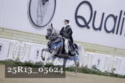 25R13_05624 thumbnail