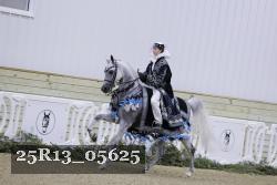 25R13_05625 thumbnail