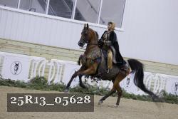 25R13_05628 thumbnail
